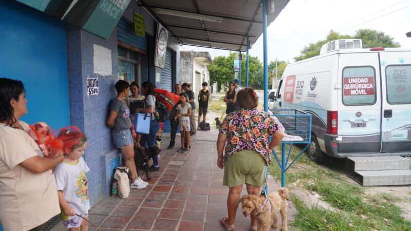 Zoonosis: jornadas gratuitas de castración y vacunación 