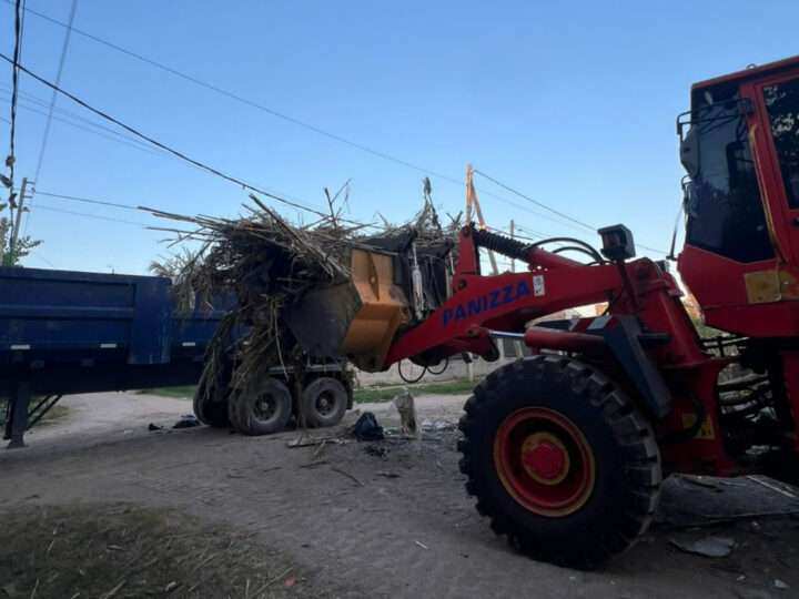 Escobar: sistema municipal de recolección de ramas