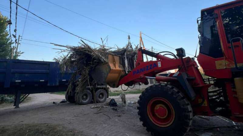 Escobar: sistema municipal de recolección de ramas