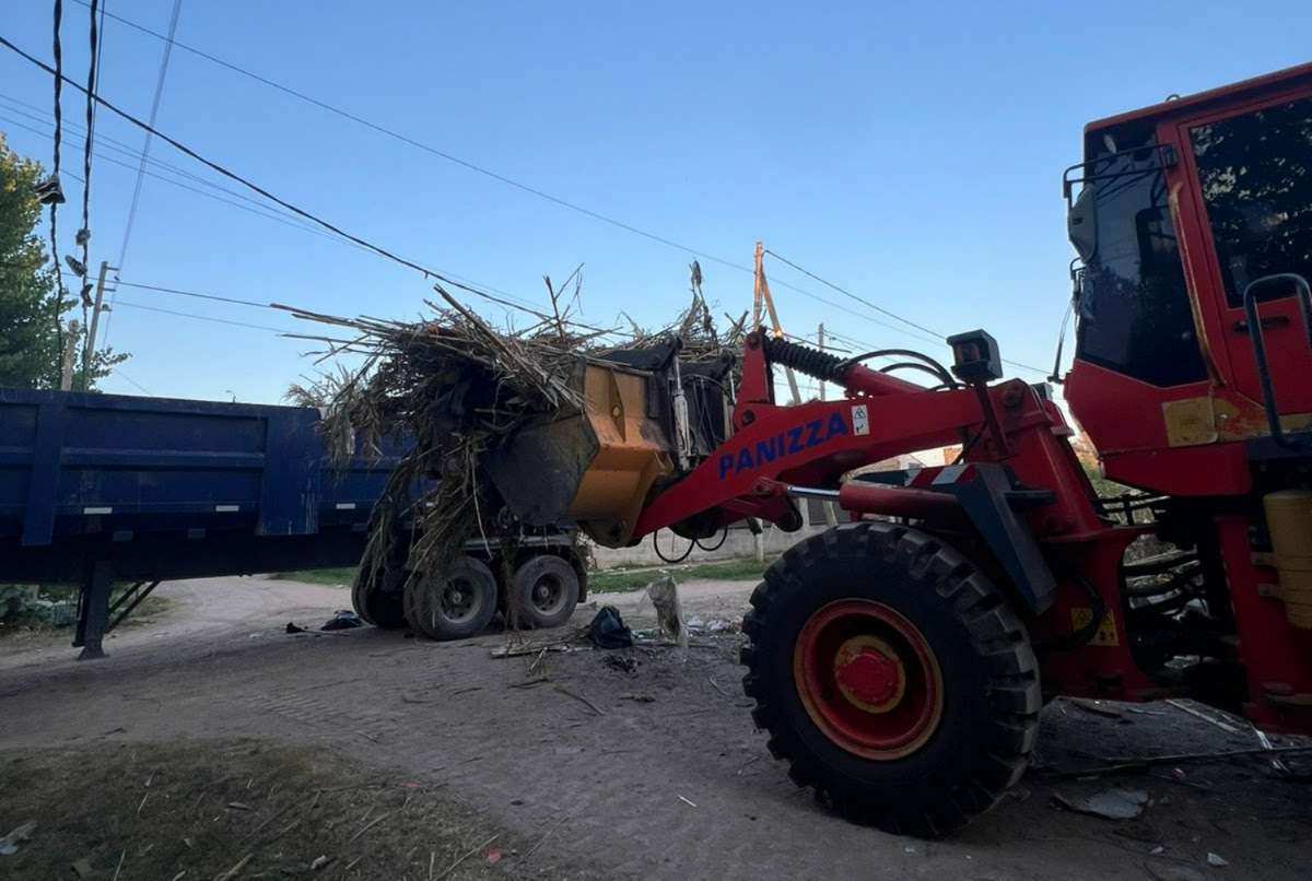 Escobar: sistema municipal de recolección de ramas