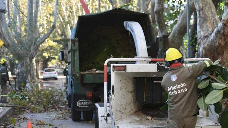 Vicente López: continúa abierta la inscripción al Plan de Poda 2026