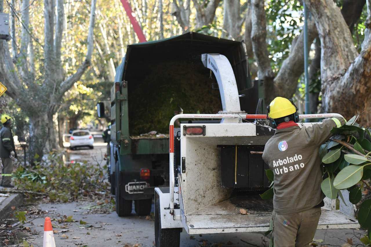 Vicente López: continúa abierta la inscripción al Plan de Poda 2026