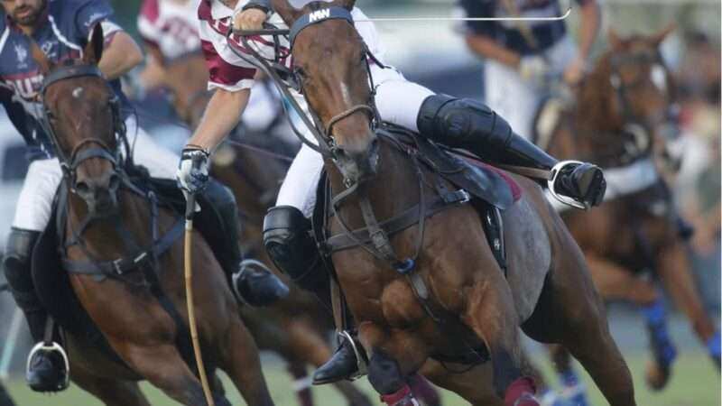 La Dolfina Scone y Pilot definirán la USPA Gold Cup 2026 tras sólidas semifinales en Wellington