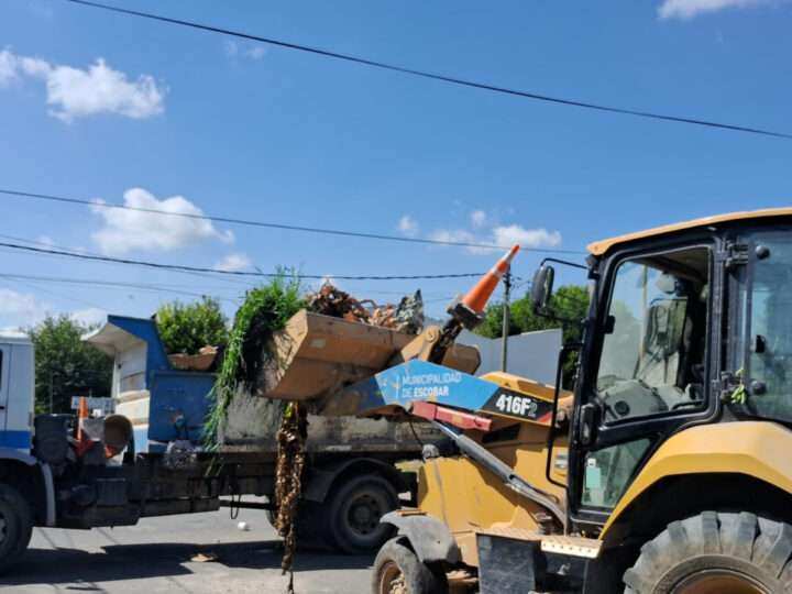 Escobar: sistema municipal de recolección de ramas para esta semana