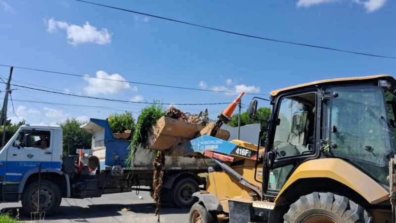 Escobar: sistema municipal de recolección de ramas para esta semana