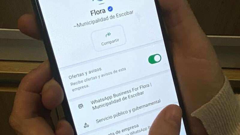 Turnos, estudios y resultados por WhatsApp: Flora ya gestionó más de 28 mil trámites de salud en 2026