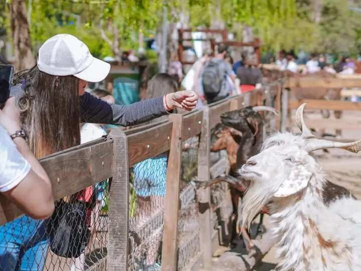 Finde en Escobar: Garín Corre, la Granja Don Benito y el Parque Aéreo Aventura son los eventos destacados