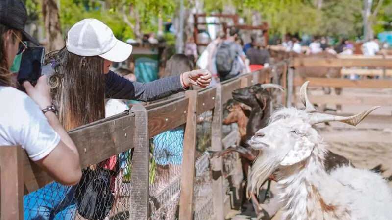 Finde en Escobar: Garín Corre, la Granja Don Benito y el Parque Aéreo Aventura son los eventos destacados