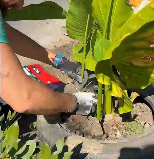 Limpiaron un basural en Maschwitz y a los cuatro días ya había uno peor