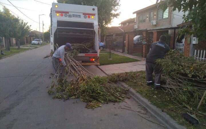 Escobar: sistema municipal de recolección de ramas