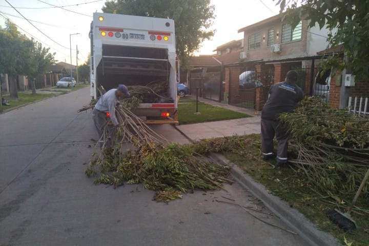 Escobar: sistema municipal de recolección de ramas
