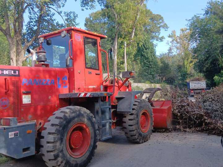 Escobar: sistema de recolección de ramas