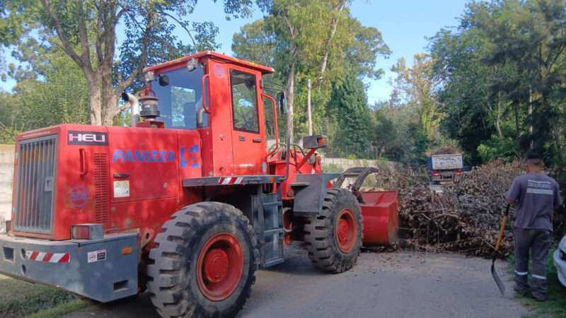 Escobar: sistema de recolección de ramas