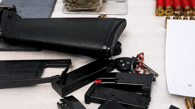 Detuvieron a un sospechoso por amenazas en El Cazador: secuestraron armas y un vivero de cannabis