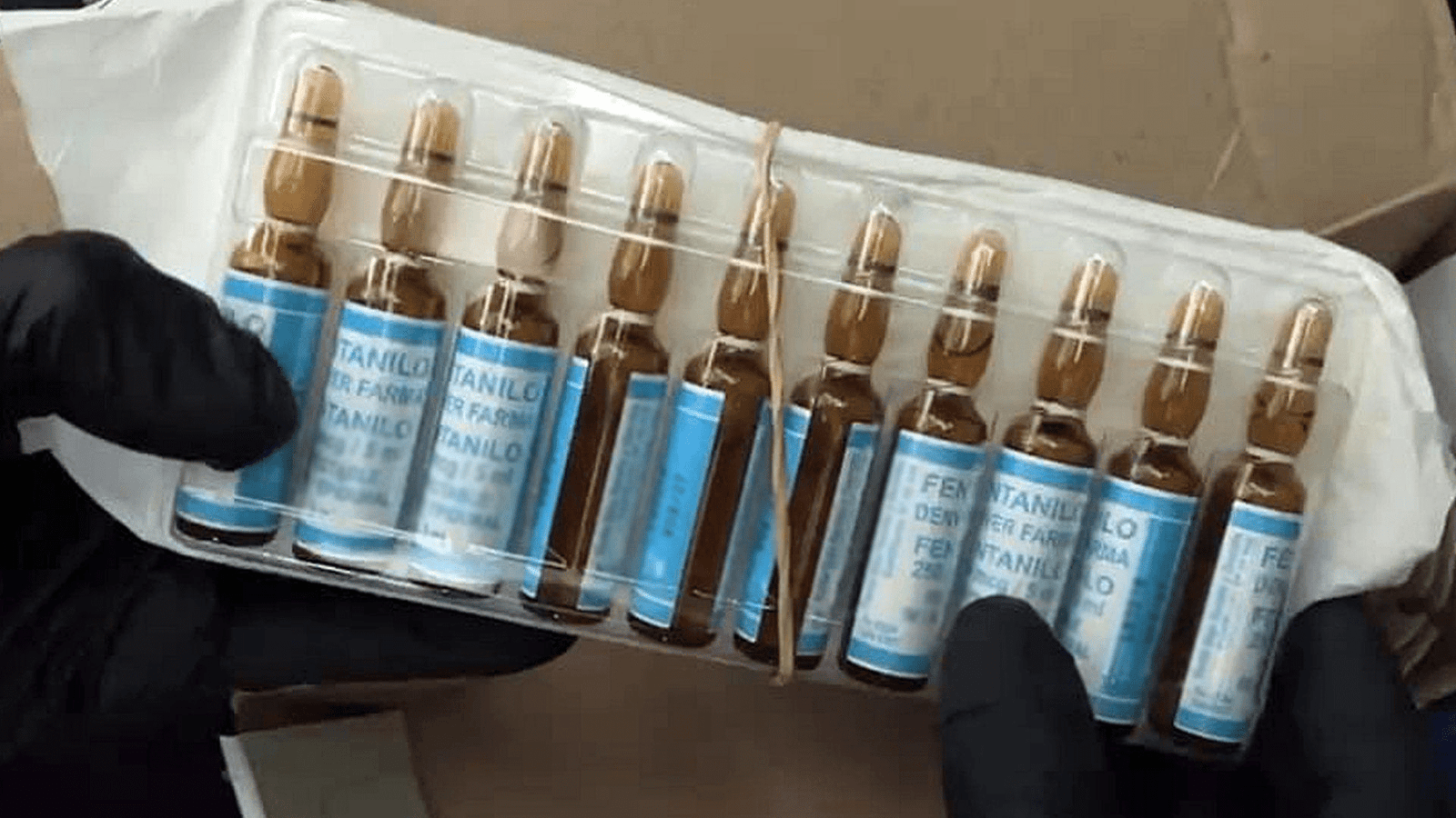 Escándalo en Vicente López: detuvieron a una médica por robo de fármacos en el Hospital Houssay