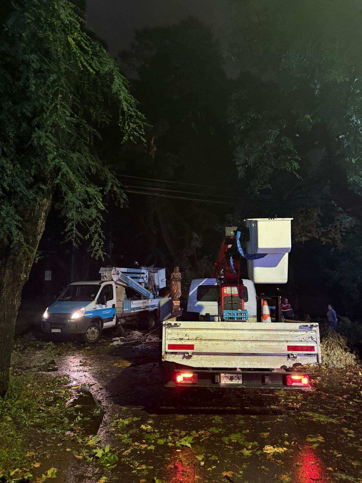 Fuerte ráfaga de viento causó daños en Escobar y activó operativo municipal