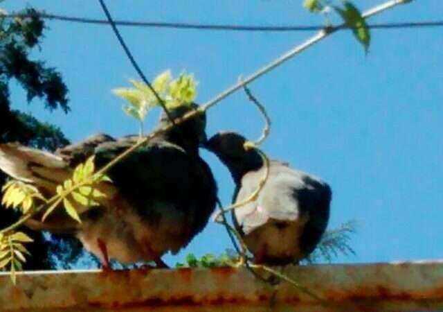 Desde la razón al corazón