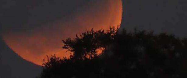 El Cantar de Grillos