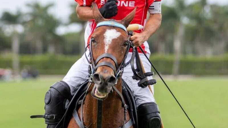 US Open Polo Championship 2026: sin invictos y con finales abiertas rumbo a la última fecha