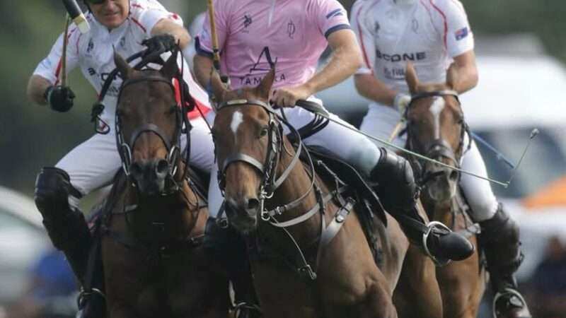 🏆 US Open Polo Championship 2026: semifinales definidas tras duelos electrizantes