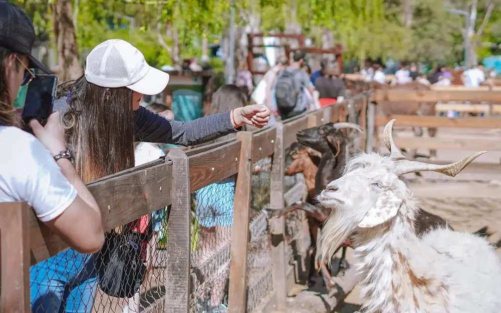 Finde en Escobar: el festival Wayra, actividades al aire libre y la Granja Don Benito son los eventos destacados