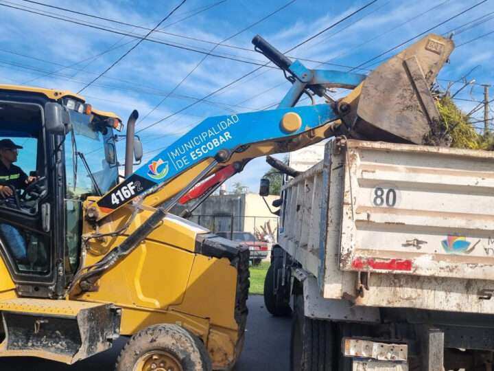 Recolección de ramas: cronograma semanal en Garín, 24 de Febrero y Matheu