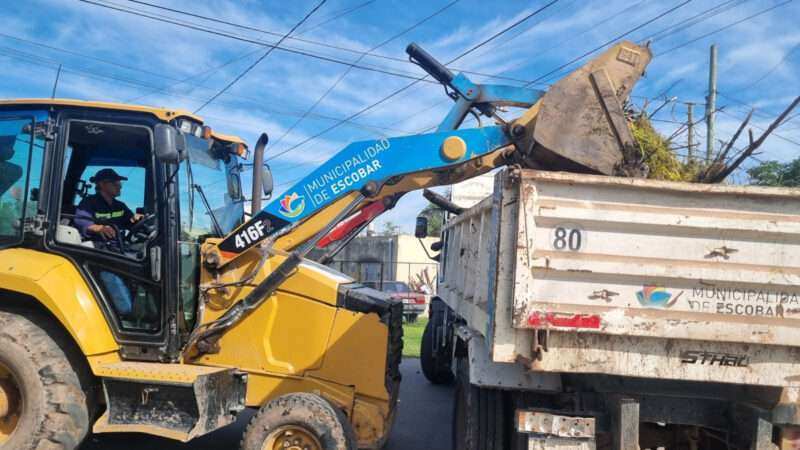 Recolección de ramas: cronograma semanal en Garín, 24 de Febrero y Matheu