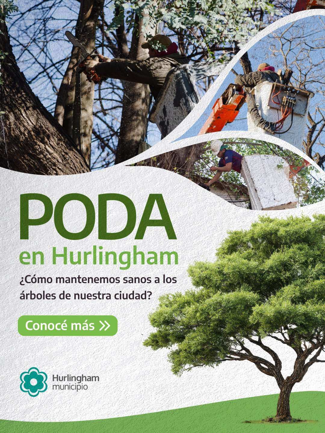 PODA RESPONSABLE EN HURLINGHAM