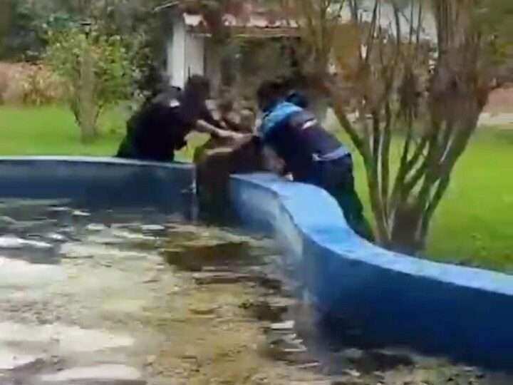 Rescate animal en El Cazador: salvaron a un perro que se estaba ahogando en una vivienda