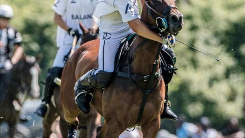 🏆🔥 Alta intensidad en la 66ª Queen’s Polo Cup 2026