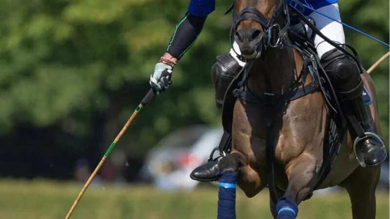 Queen’s Cup 2026: se perfilan los candidatos tras la segunda fecha