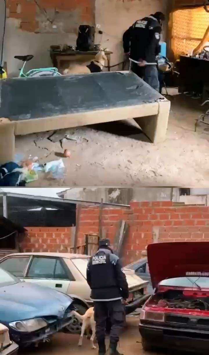 Golpe al Narcomenudeo en Doña Justa: 7 aprehendidos y más de 500 Dosis de Cocaína secuestradas