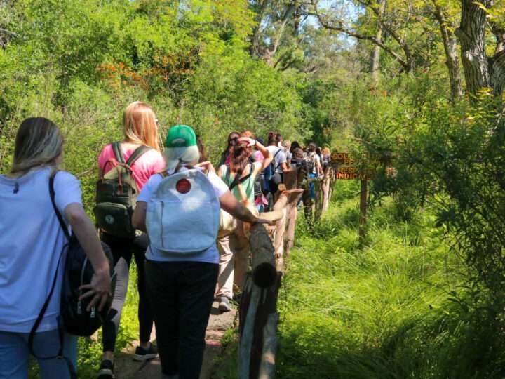 Últimas vacantes para la Diplomatura en Conservación de la Biodiversidad de la UBA que se realiza en Temaikèn
