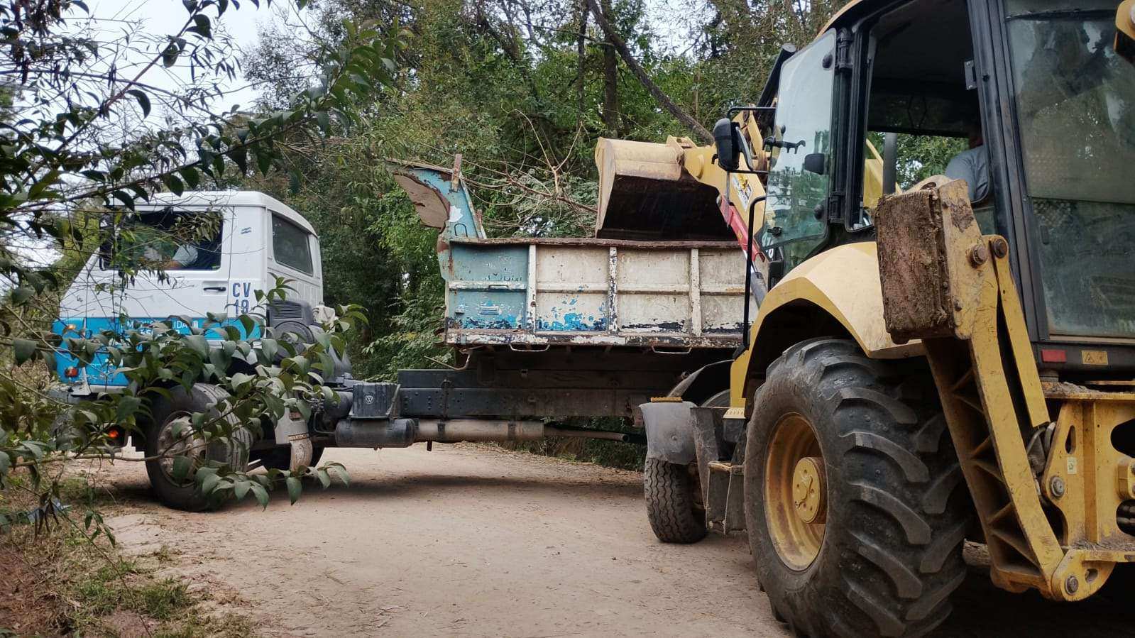 Recolección de ramas: cronograma semanal en Belén de Escobar e Ingeniero Maschwitz