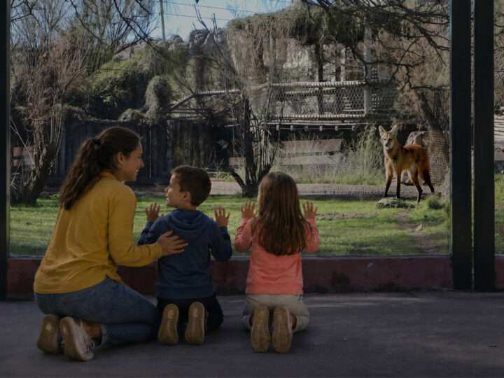 “Menos Pantalla, Más Naturaleza: Temaikèn Presenta Experiencias Renovadas Para Vivir En Familia En Vacaciones De Invierno”