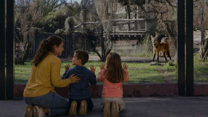 “Menos Pantalla, Más Naturaleza: Temaikèn Presenta Experiencias Renovadas Para Vivir En Familia En Vacaciones De Invierno”