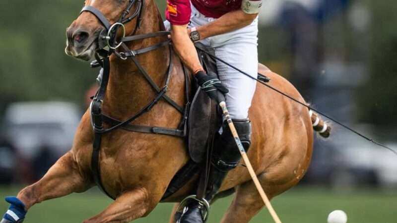 Arrancó la 70ª edición del British Open de Polo: la Cowdray Gold Cup 2026