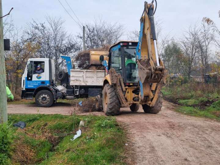 Recolección de ramas: cronograma semanal en Loma Verde y Matheu