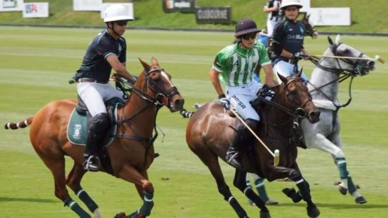 El British Polo Open 2026 entra en calor: intensidad, figuras y equipos que marcan el rumbo