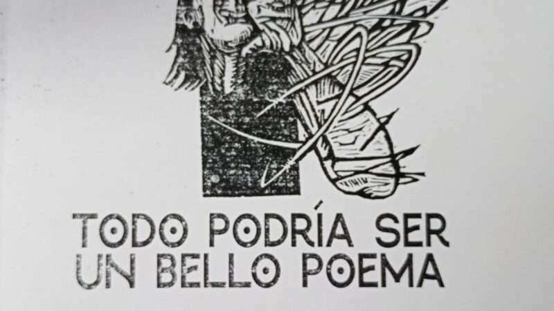La belleza