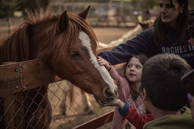 Finde en Escobar: “Una Obra Redonda” en Escopark, el aniversario de la Granja Don Benito y la Feria Wayra