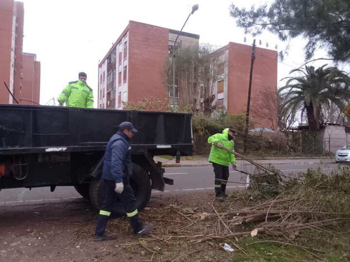 Recolección de ramas: cronograma semanal en Garín, Belén de Escobar e Ingeniero Maschwitz