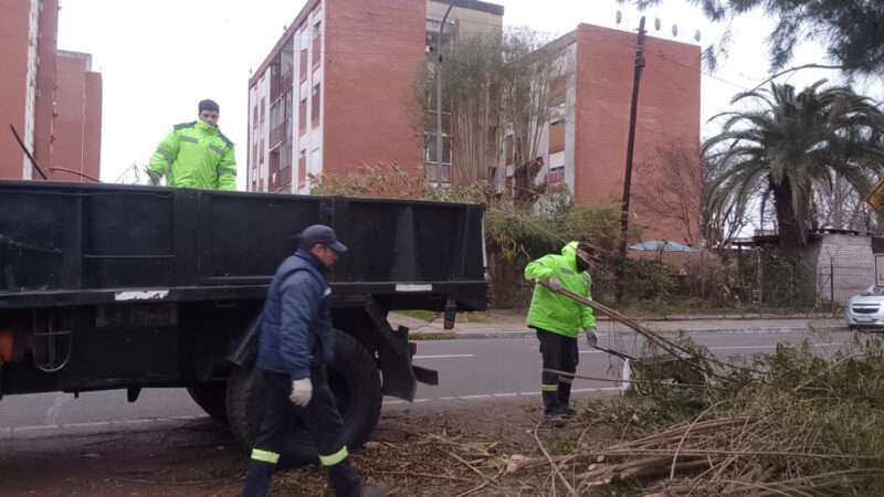 Recolección de ramas: cronograma semanal en Garín, Belén de Escobar e Ingeniero Maschwitz