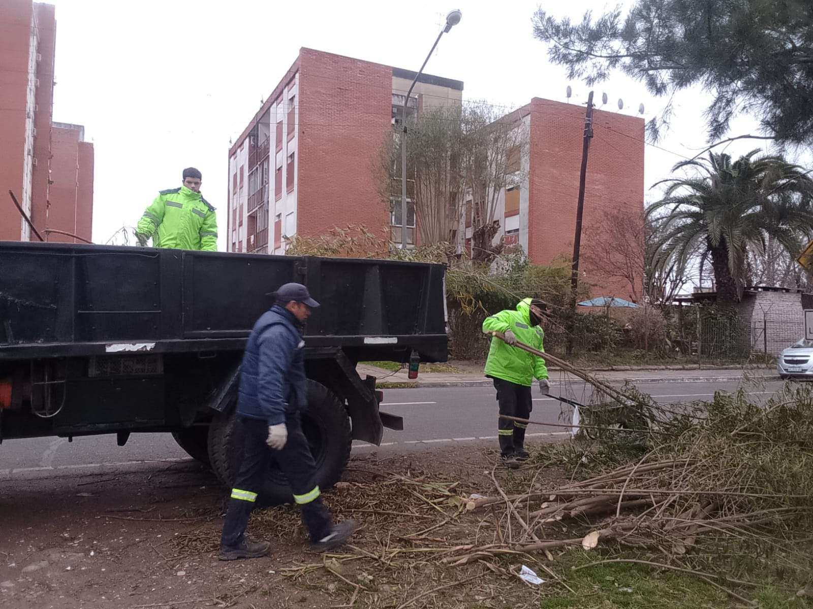 Recolección de ramas: cronograma semanal en Garín, Belén de Escobar e Ingeniero Maschwitz