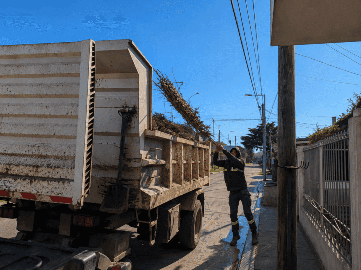 Recolección de ramas: cronograma semanal en Garín y Maquinista Savio