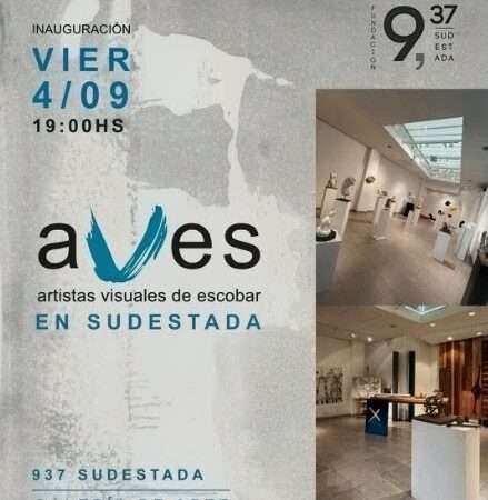 AVES en Sudestada, la muestra visual de artistas de Escobar en la galería de arte de Rincón de Milberg