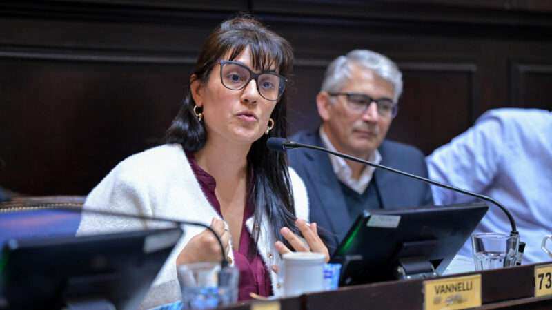 Vannelli pidió avanzar contra la discriminación: “El Estado tiene que intervenir para erradicar estas conductas”