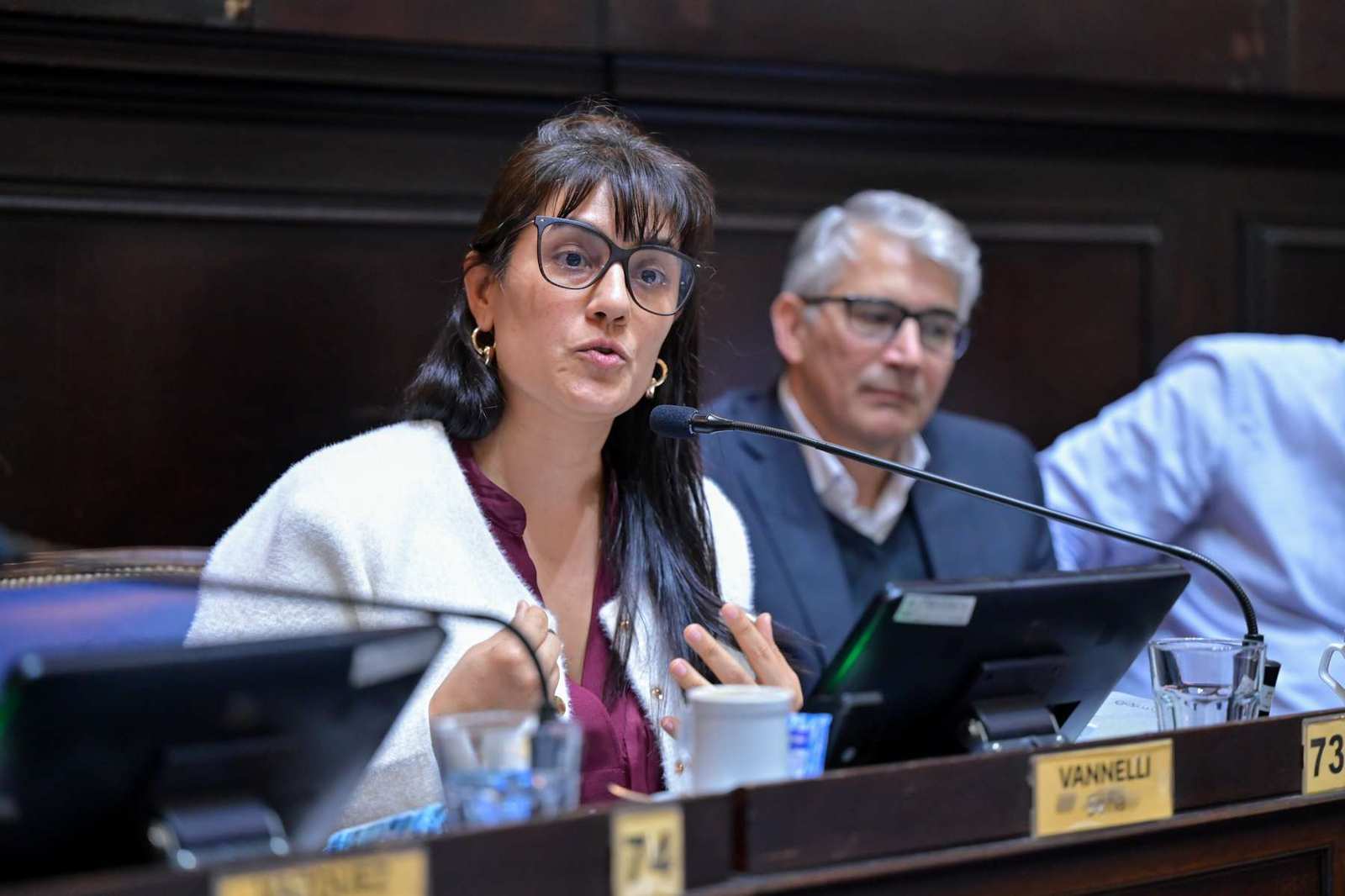 Vannelli pidió avanzar contra la discriminación: “El Estado tiene que intervenir para erradicar estas conductas”