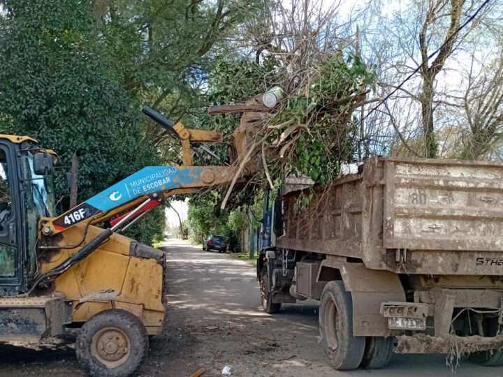 Recolección de ramas: cronograma semanal en Ingeniero Maschwitz, Belén de Escobar, Garín y 24 de Febrero