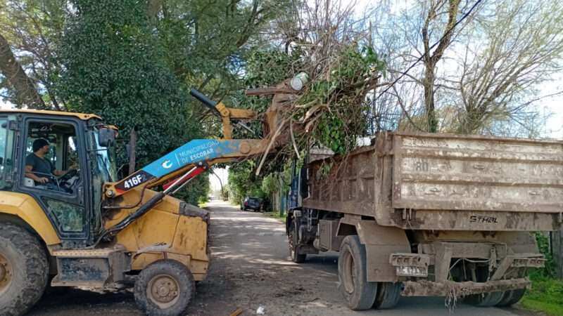 Recolección de ramas: cronograma semanal en Ingeniero Maschwitz, Belén de Escobar, Garín y 24 de Febrero